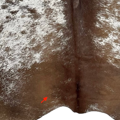 Closeup of this XL, Speckled Brazilian Cowhide, showing white with brown speckles and spots, brown with white speckles across the lower edge, and one brand mark on the left side, along the lower edge (BRSP1995)