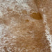 Closeup of this Large, Brown and White, Speckled, Brazilian Cowhide, showing white with brown speckles and spots (BRSP2004)