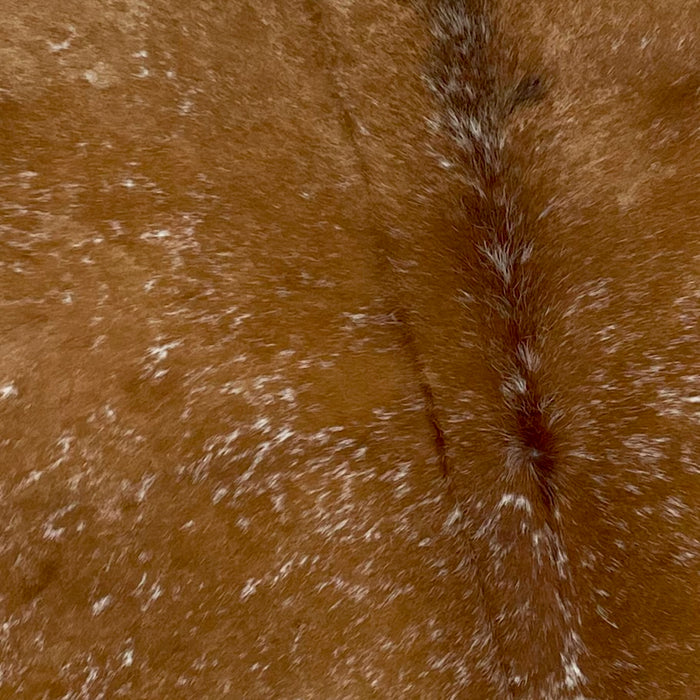 Closeup of this Speckled, Brazilian Cowhide, showing brown with white speckles (BRSP2015)