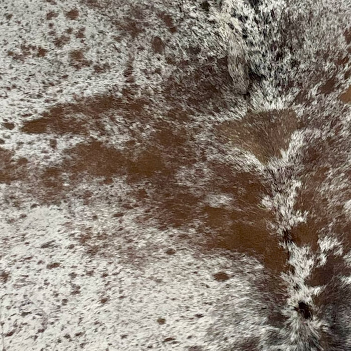Closeup of this Tricolor, Speckled, Brazilian Cowhide, showing white with brown and black speckles and spots (BRSP2022)