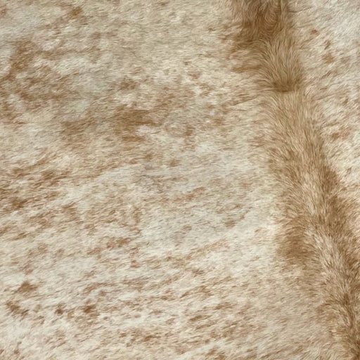Closeup of this Large Brown and Off-White Speckled Brazilian Cowhide, showing off-white with brown speckles and spots (BRSP2028)