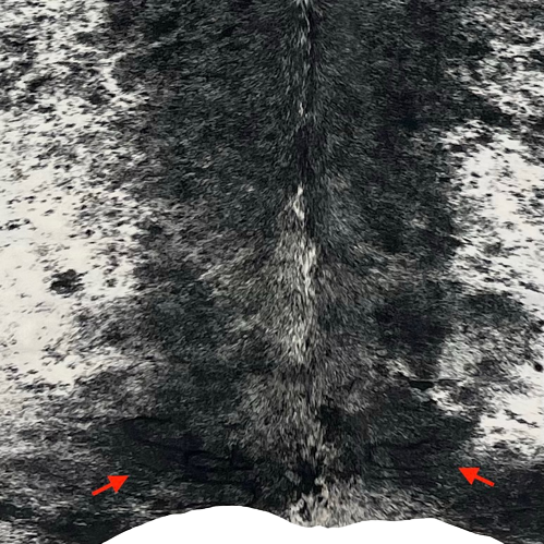 XL Black and White Speckled Brazilian Cowhide, showing  two brand marks near the lower edge, one on each side (BRSP2043)
