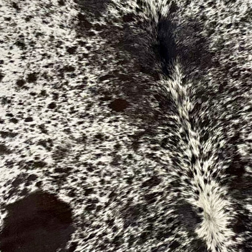 Closeup of this Large, Tricolor, Speckled, Brazilian Cowhide, showing white with black speckles and spots, down the middle, and dark brown speckles and spots down both sides (BRSP2049)