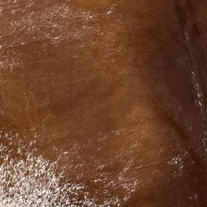 Closeup of this Large, Brown and White, Speckled, Brazilian Cowhide, showing mostly solid brown, with a few white speckles, down the middle, and white with brown speckles on the belly (BRSP2057)
