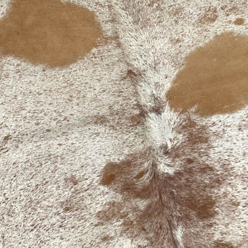 Closeup of this Large, Off-White and Brown, Speckled, Brazilian Cowhide, showing off-white with brown speckles and spots, and two large, caramel spots on the back (BRSP2058)