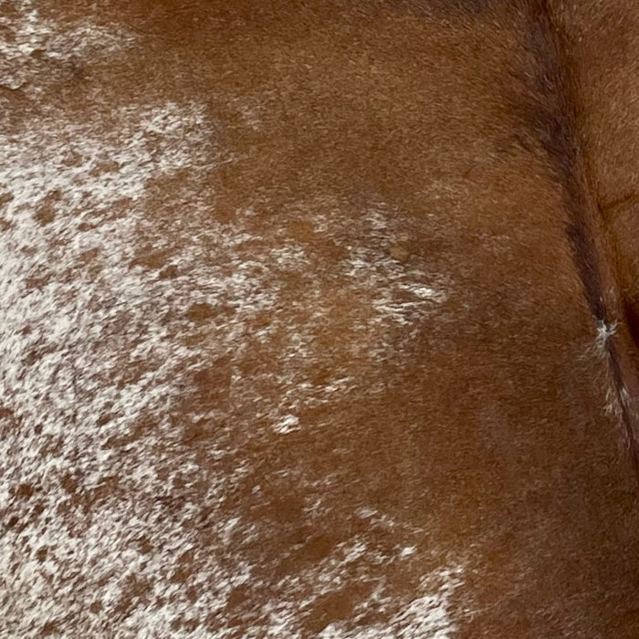 Closeup of this XL, Brown and White, Speckled, Brazilian Cowhide, showing white with brown speckles and spots, and mostly solid brown down the middle (BRSP2059)