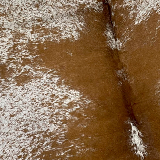 Closeup of this XL, White and Brown, Speckled, Brazilian Cowhide, showing white with brown speckles and spots, and mostly solid brown down the middle of the back (BRSP2061)