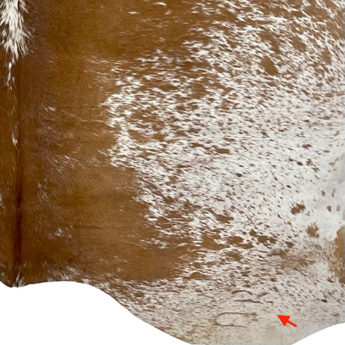 CLoseup of this XL White and Brown Speckled Brazilian Cowhide, showing  one brand mark on the butt, on the right side (BRSP2061)
