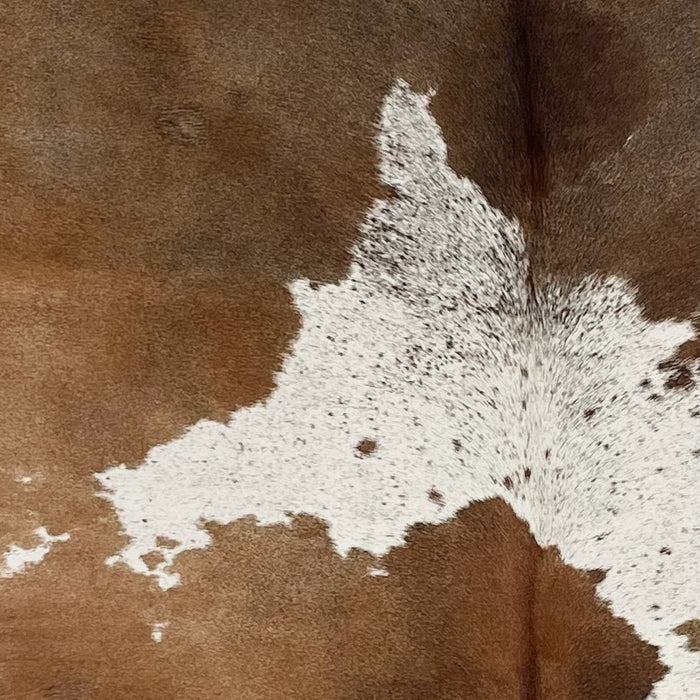 Closeup of this Brown and White, Speckled, Brazilian Cowhide, showing white with large brown spots, and brown and blackish brown speckles (BRSP2065)