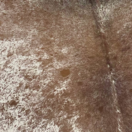 Closeup of this Large, Tricolor, Speckled, Brazilian Cowhide, showing white with brown speckles and spots on the back (BRSP2068)
