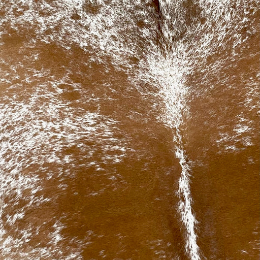 Closeup of this Speckled, Brazilian Cowhide, showing white with reddish brown spots and speckles (BRSP2082)