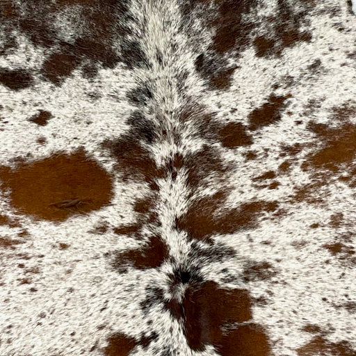 Closeup of this Large, Brown and White, Speckled, Brazilian Cowhide, showing white with medium brown and dark brown spots and speckles (BRSP2083)