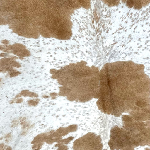 Closeup of this XXL, White and Brown, Speckled, Brazilian Cowhide, showing white with cloudy, brown spots and speckles (BRSP2088)
