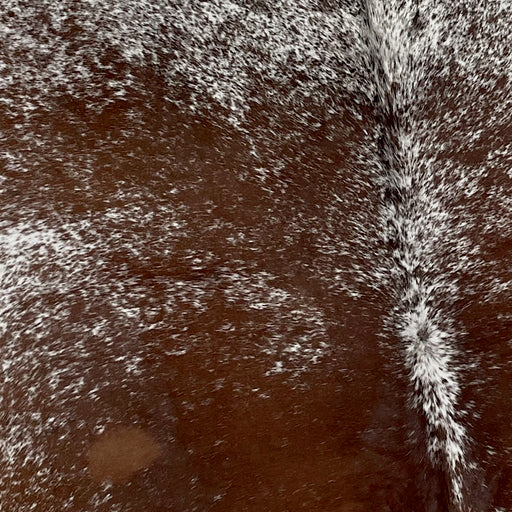Closeup of t his Brown and White, Speckled, Brazilian Cowhide, showing white with brown speckles and spots, and a large brown spot, with white speckles, on each side of the back (BRSP2100)