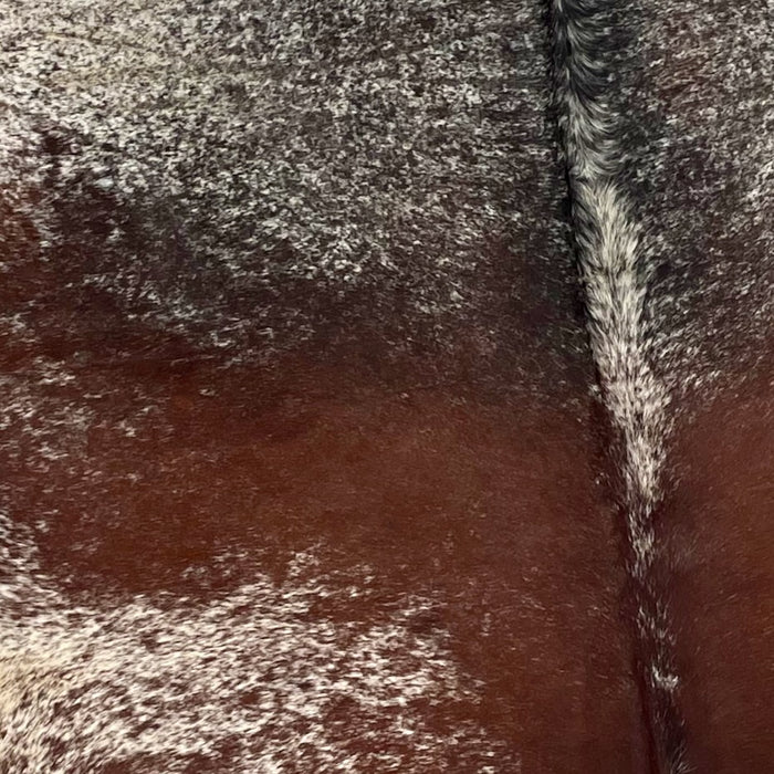 Closeup of this Large, Tricolor, Speckled, Brazilian Cowhide, showing white with reddish brown down the middle, reddish brown speckles on the sides of the back, and black speckles on the shoulder (BRSP2118)