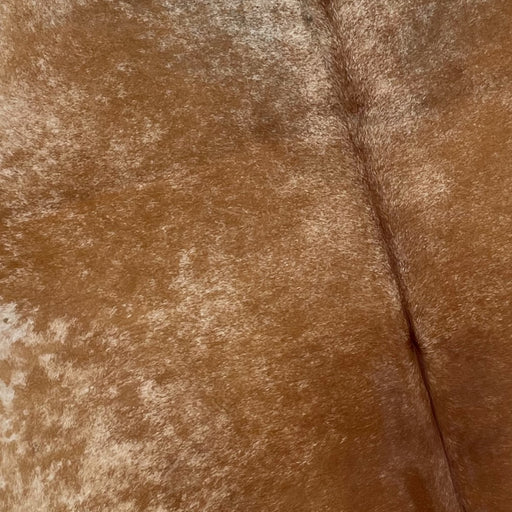 Closeup of this Speckled, Brazilian Cowhide, showing reddish brown with fine, white speckles (BRSP2128)