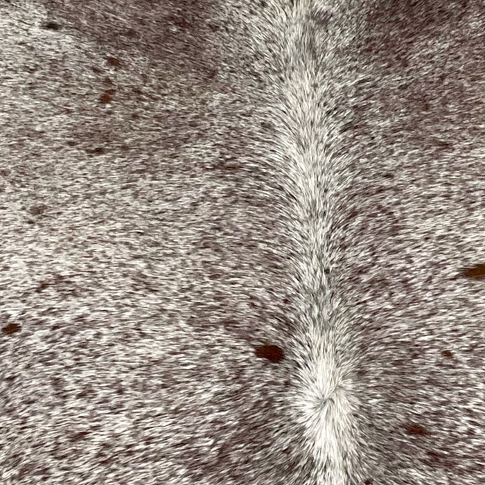 Closeup of this Large, Speckled, Brazilian Cowhide, showing white with brown speckles and spots (BRSP2136)