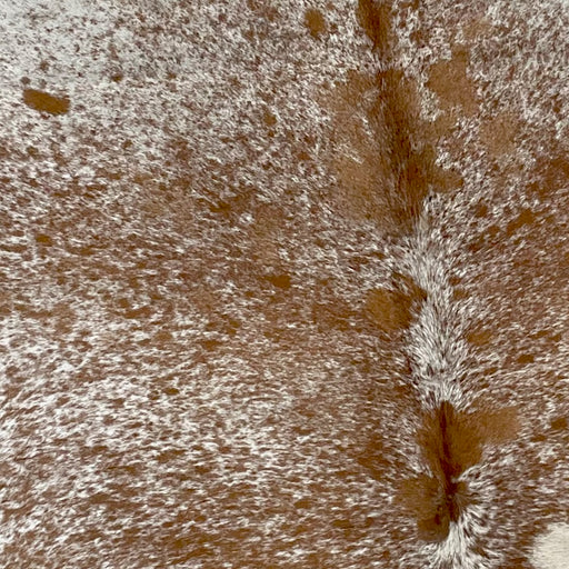 Closeup of this Speckled, Brazilian Cowhide, showing white with brown speckles and spots (BRSP2146)