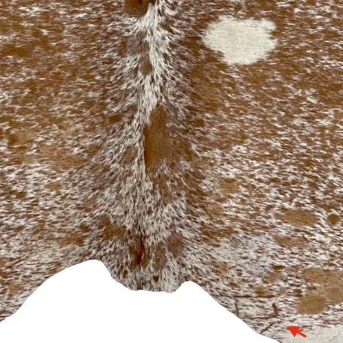 Closeup of this Brown and White, Speckled, Brazilian Cowhide, showing one brand mark along the lower edge, on the right side (BRSP2146)