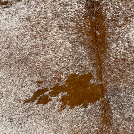 Closeup of this Large, Speckled, Brazilian Cowhide, showing white with red brown speckles and spots (BRSP2160)