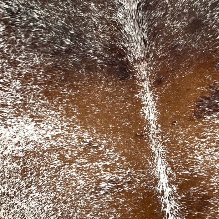 Closeup of this XL, Tricolor, Speckled, Brazilian Cowhide, showing white with reddish brown speckles and spots covering most of the hide, and chocolate speckles and spots on the shoulder (BRSP2162) 