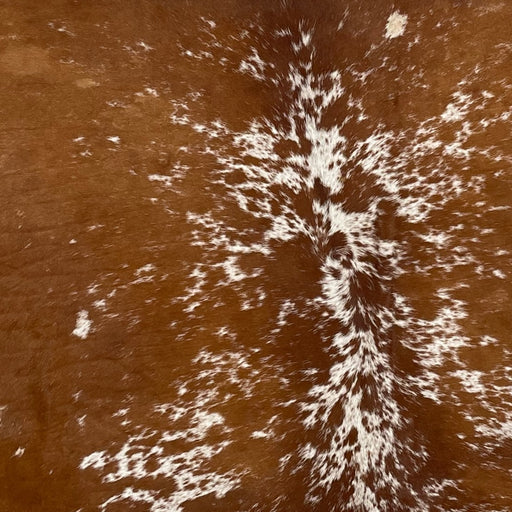 Closeup of this Speckled, Brazilian Cowhide, showing brown with white speckles and spots (BRSP2189)