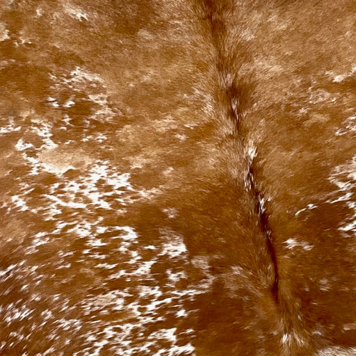 Closeup of this Speckled, Brazilian Cowhide, showing brown with white spots and speckles (BRSP2200)