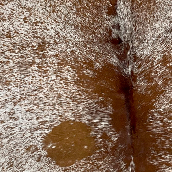 Closeup of this Large, Speckled, Brazilian Cowhide, showing white with reddish brown speckles and spots, and mostly solid, reddish brown down part of the spine (BRSP2206)