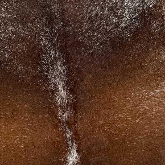 Closeup of this Speckled, Brazilian Cowhide, showing brown with fine, white speckles on the back, white speckles down part of the spine, and white with dark brown speckles on part of the shoulder (BRSP2209)