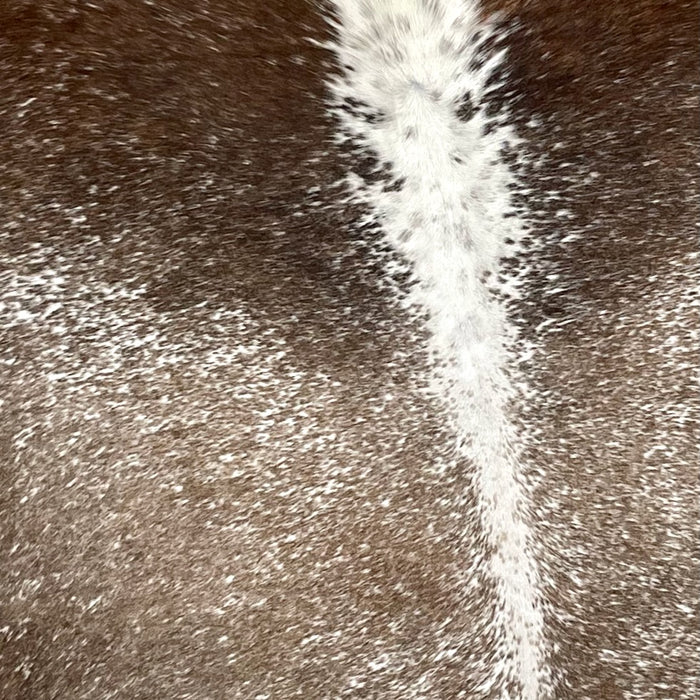 Closeup of this Large, Tricolor, Speckled, Brazilian Cowhide, showing a mix of brown and taupe with white speckles, and white, with a beautiful sheen, down the spine (BRSP2215)