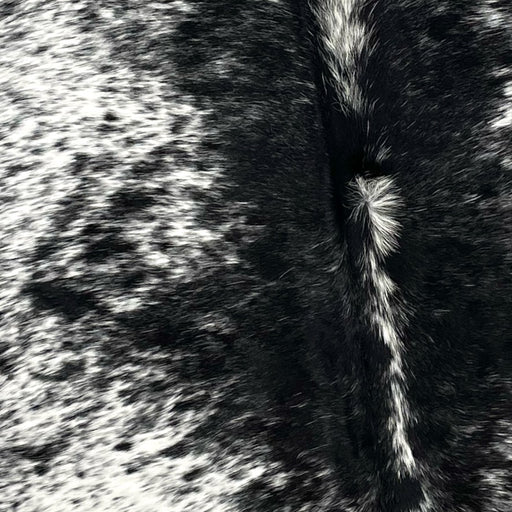 Closeup of this Speckled, Brazilian Cowhide, showing white with black speckles and spots, and black, with fine, white speckles, down the middle (BRSP2226)