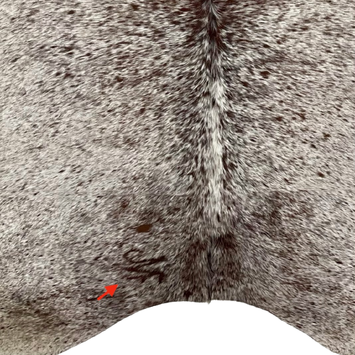 Closeup of this Large, Tricolor, Speckled, Brazilian Cowhide, showing one brand mark on the left side of the butt (BRSP2266)