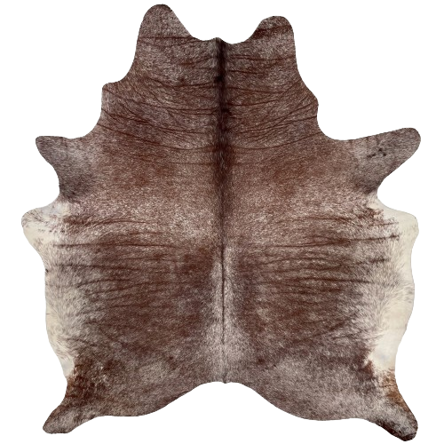 Brown and White Speckled Brazilian Cowhide:  brown with white speckles, and it has white, with brown speckles, on the belly - 6'3" x 5'7" (BRSP2268)