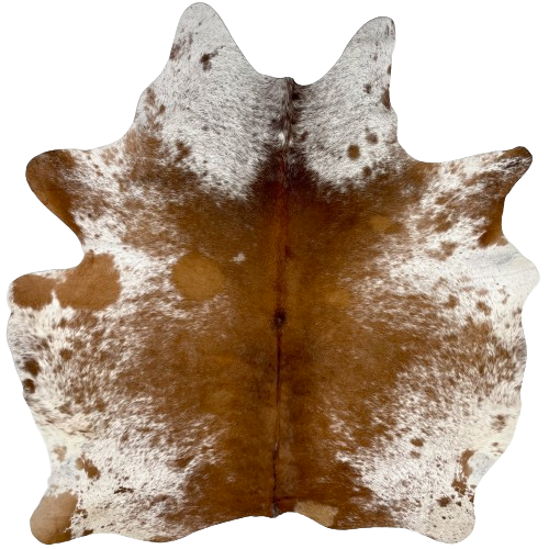Brown and White Speckled Brazilian Cowhide:  mostly solid brown down the middle, with a few fine, white speckles, and it is white, with brown speckles and spots on the belly, shanks, and part of the shoulder - 5'11" x 5'3" (BRSP2273)