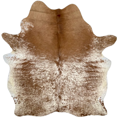 Brown and White Speckled Brazilian Cowhide, long hair:  has long hair that is white, with brown speckles and spots, on most of the hide, and it has solid brown on most of the shoulder - 6'9" x 5'5" (BRSP2275)