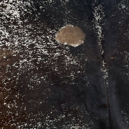 Closeup of this XL, Tricolor, Speckled, Brazilian Cowhide, showing a mix of black and dark brown, with white speckles, and one large, brown spot on the left side of the back (BRSP2279)