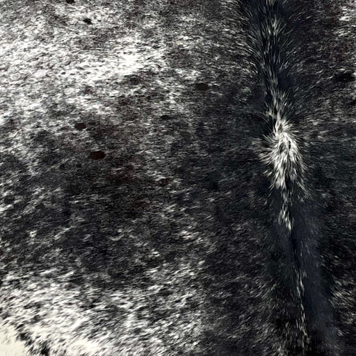 Cloeup of this Large, Speckled, Brazilian Cowhide, showing black with white speckles, and spots that are white with black speckles (BRSP2283)