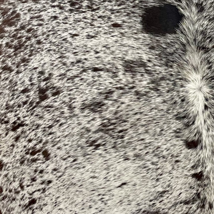 Closeup of this Tricolor Speckled Brazilian Cowhide, showing white with black and dark brown speckles and spots (BRSP2305)