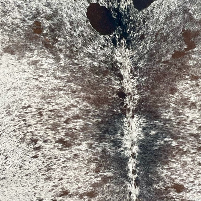 Closeup of this XL Tricolor Speckled Brazilian Cowhide, showing white with brown and black spots and speckles, and a mix of brown and black down the middle (BRSP2308)