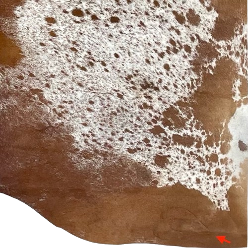 Closeup of this Brown and White Speckled Brazilian Cowhide, showing one brand mark on the right, hind shank (BRSP2309)