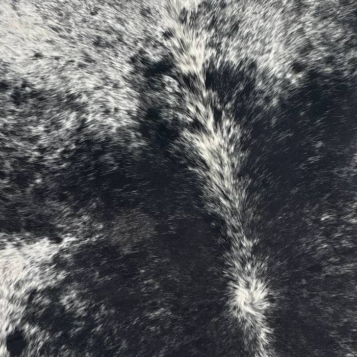 Closeup of this Large, Speckled, Brazilian Cowhide, showing white, with black speckles and spots on part of the shoulder and down the spine, and black, with fine, white speckles, on the back (BRSP2312)