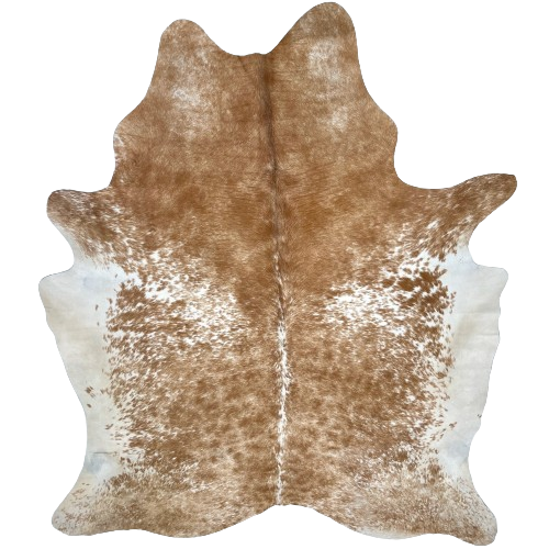 Brown and White Speckled Brazilian Cowhide:  white, with cloudy, brown spots and speckles, mostly solid brown on the shoulder, and off-white on the belly - 7'2" x 5'4" (BRSP2339)
