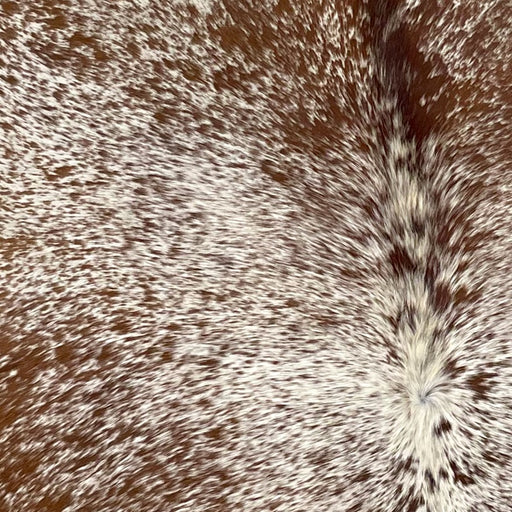 Closeup of this Speckled, Brazilian Cowhide, showing white with brown speckles and spots (BRSP2342)
