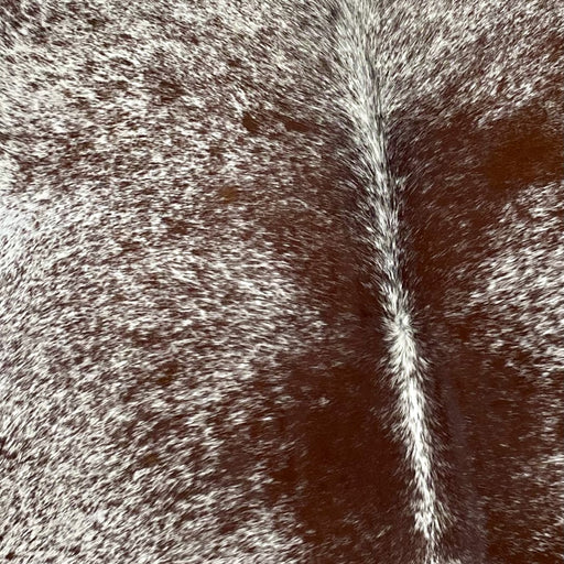 Closeup of this Large, Speckled, Brazilian Cowhide, showing white with brown speckles and spots (BRSP2346)
