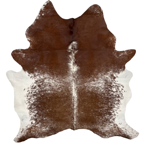 Brown and White Speckled Brazilian Cowhide:  brown with white speckles and spots on most of the hide, mostly solid brown on the shoulder, white with brown speckles down the spine, and white on the belly - 7'4" x 5'10" (BRSP2347)