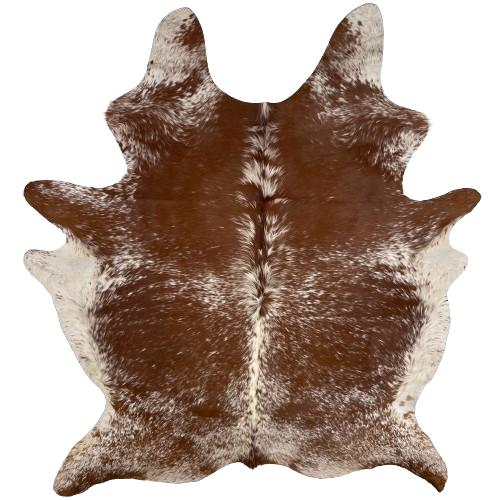 Brown and Off-White Speckled Brazilian Cowhide:  brown with off-white speckles and spots, and it has off-white with brown speckles on the belly - 7'3" x 5'10" (BRSP2349)