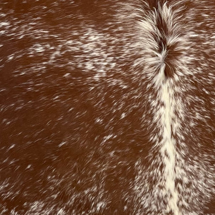 Closeup of this Speckled, Brazilian Cowhide, showing brown with off-white speckles and spots (BRSP2349)