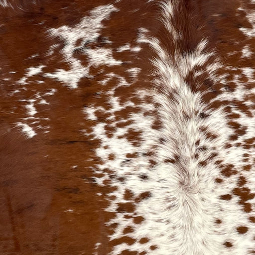 Closeup of this Brazilian, Tricolor, Speckled Cowhide, showing a mix of reddish brown and black down both sides of the back, white with reddish brown speckles and spots down the middle of the back, and a mix of reddish brown and black, with white speckles and spots, on the shoulder (BRSP2367)