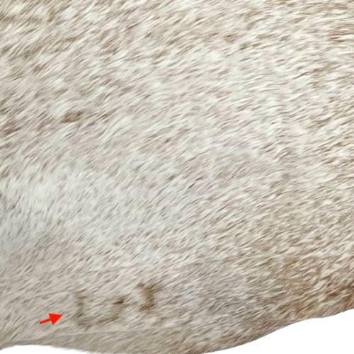 Closeup of this Large, White and Brown, Speckled, Brazilian Cowhide, showing one brand mark on the left side of the butt (BRSP2370)