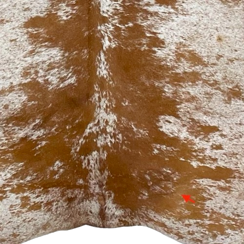 Closeup of this Large, Reddish Brown and White, Speckled, Brazilian Cowhide, showing one brand mark on the right side of the butt (BRSP2374)